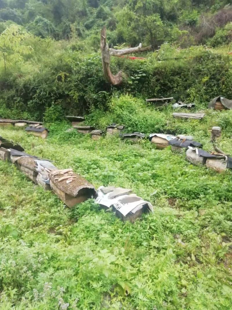 正宗山区原产地蜂蜜