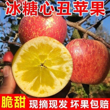 大凉山盐源苹果丑苹果糖心苹果高原苹果一件代发包邮