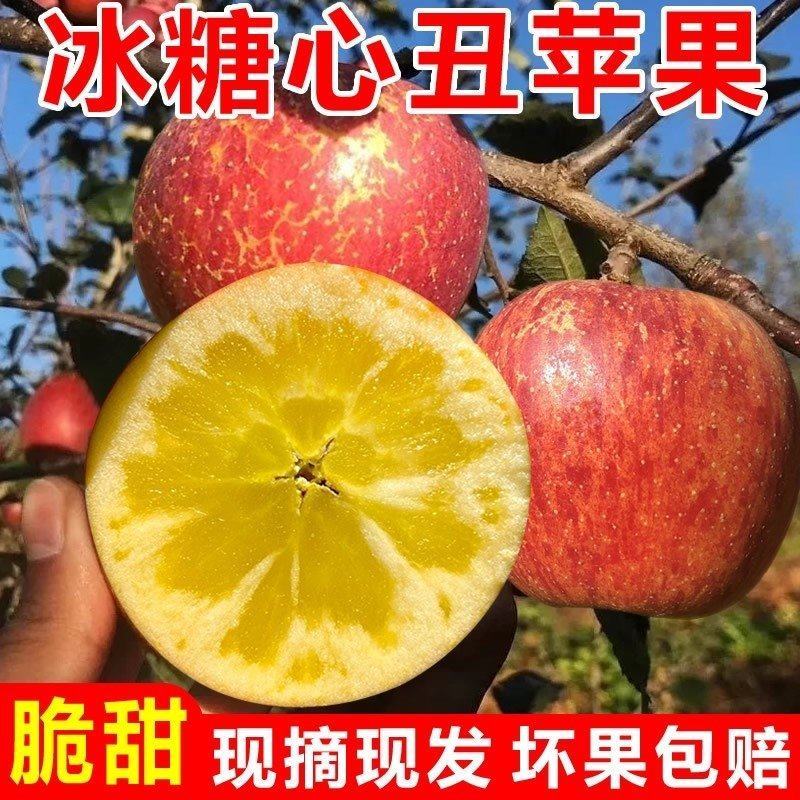 大凉山盐源苹果丑苹果糖心苹果高原苹果一件代发包邮