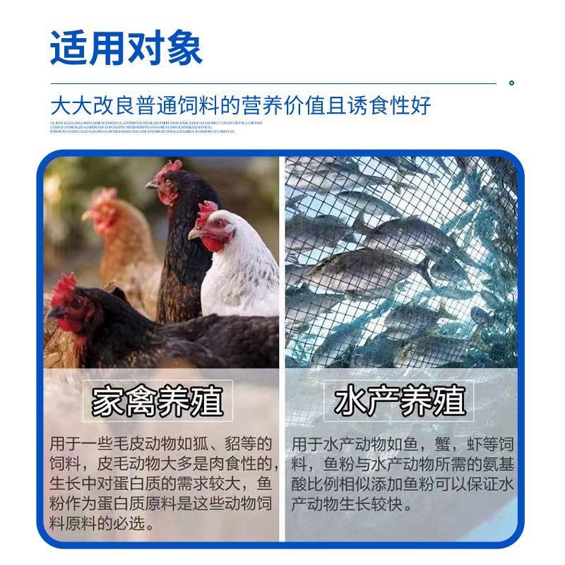 优质国产脱脂鱼粉饲料高蛋白鸡鸭鹅狗猪饲料狐貂水产养殖
