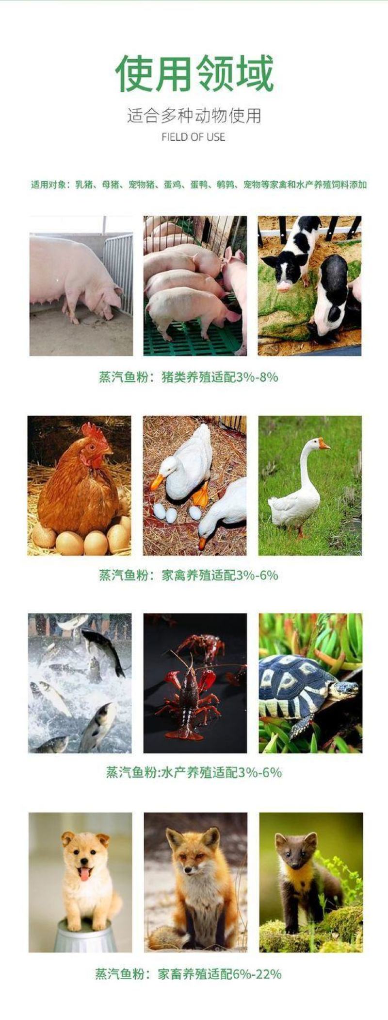 优质国产脱脂鱼粉饲料高蛋白鸡鸭鹅狗猪饲料狐貂水产养殖