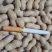 干花生(天府三精选果)适用于炒货卖生货