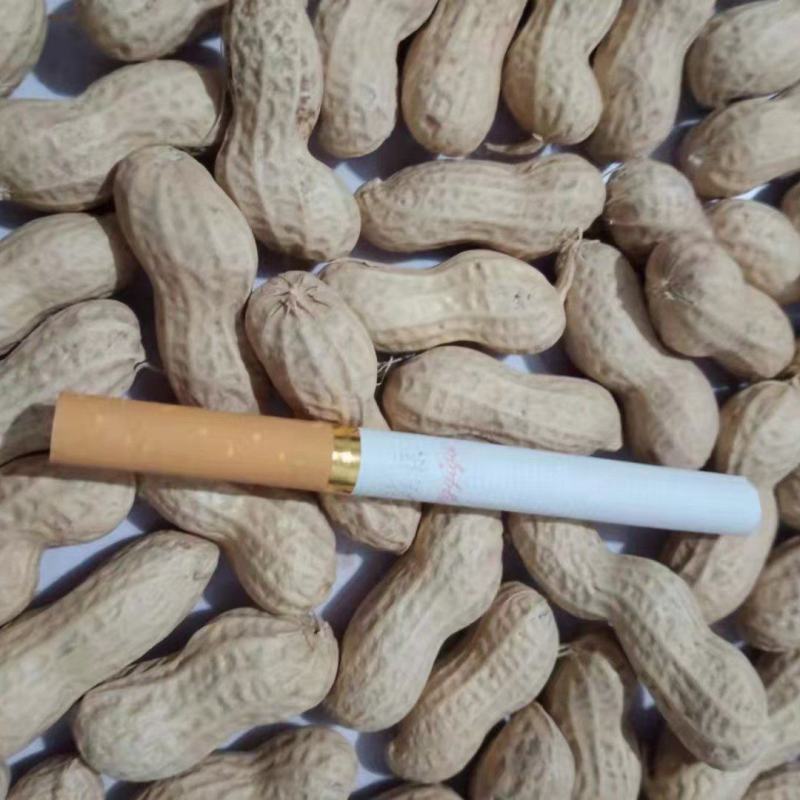 干花生(天府三精选果)适用于炒货卖生货