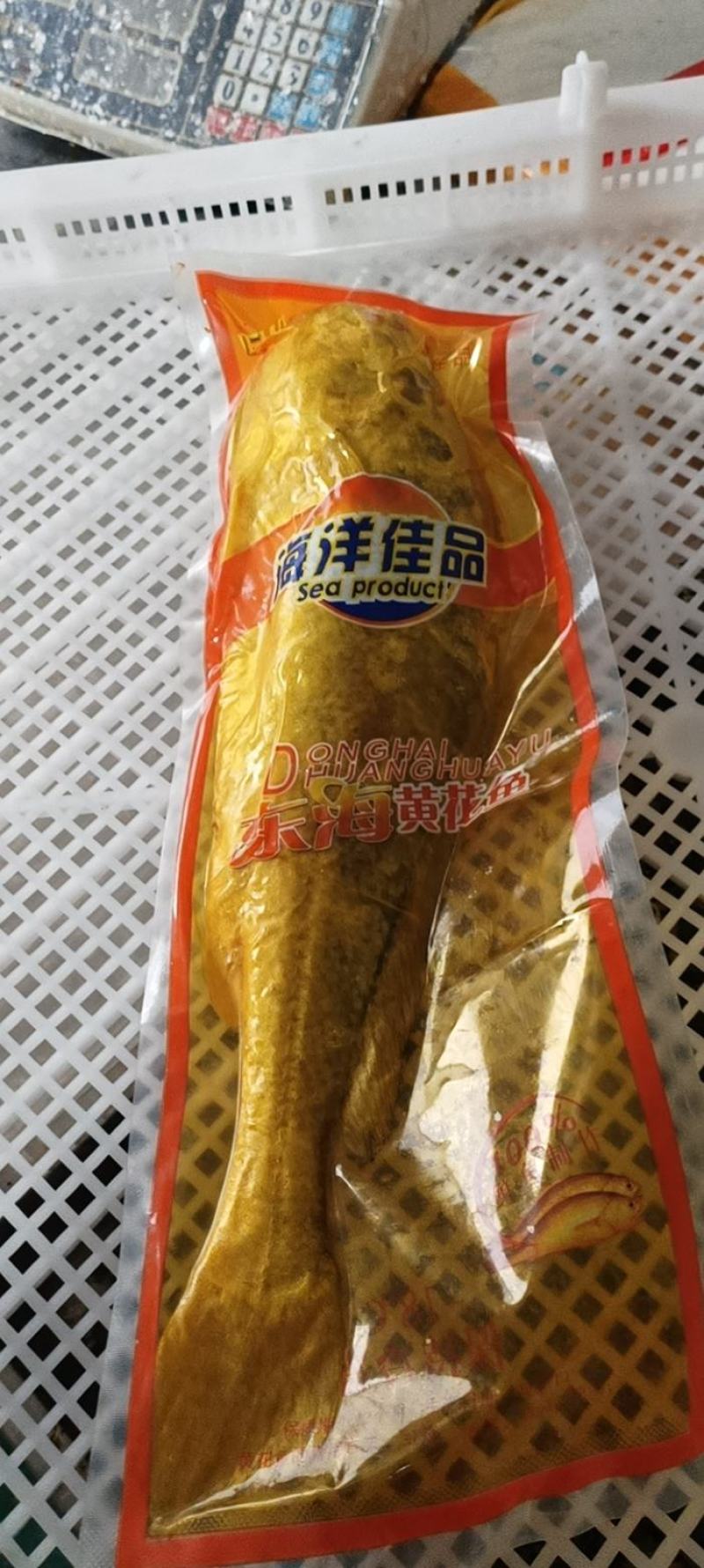 霞浦原产地大黄鱼黄花鱼真空包装单冻1.6-2.3斤都有