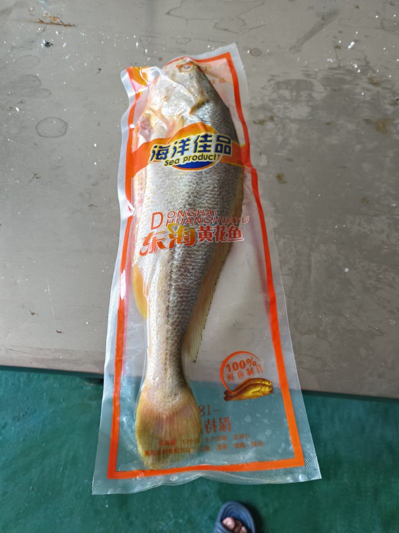 霞浦原产地大黄鱼黄花鱼真空包装单冻1.6-2.3斤都有