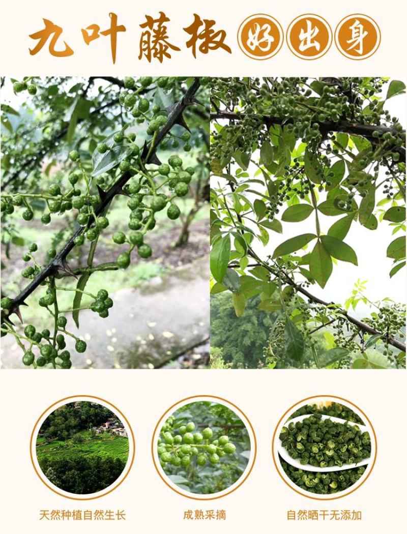 四川青花椒酱藤椒酱麻椒特产花椒油商用特红油辣椒辣子调料
