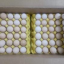 湖北佳美鲜红心粉蛋32-45长年可供2000箱