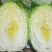精品大白菜上市