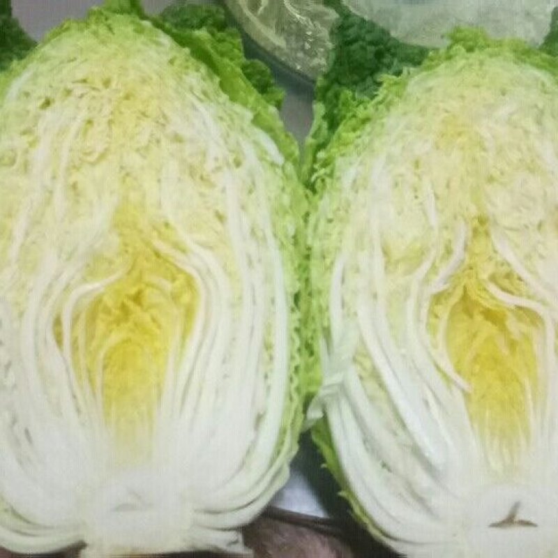精品大白菜上市