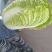 精品大白菜上市