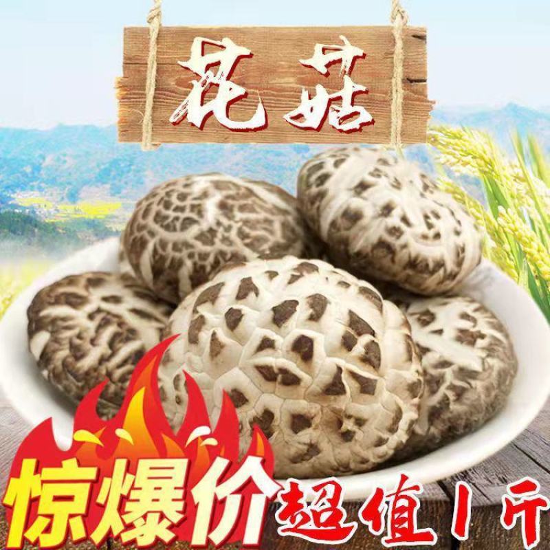 花菇，茶花菇，干花菇包邮