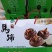 乳源农家自种山水马蹄