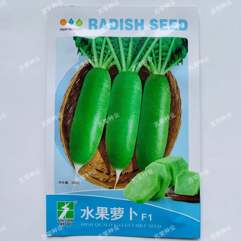 水果萝卜种子秋播青罗卜乐蛋袖珍水果萝卜种籽庭院盆栽