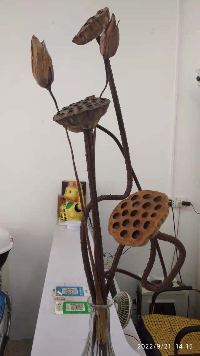莲蓬干花天然禅意装饰真杆带籽莲蓬原生态干花花束
