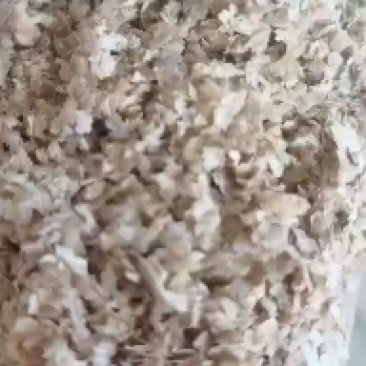 出售大片麸皮。质量稳定。量大价优。长期合作厂家