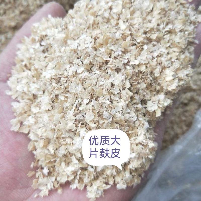出售大片麸皮。质量稳定。量大价优。长期合作厂家