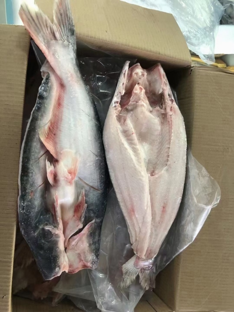 越南反骨腌制开背鱼，湄公鱼，原条开背鱼，全国接单
