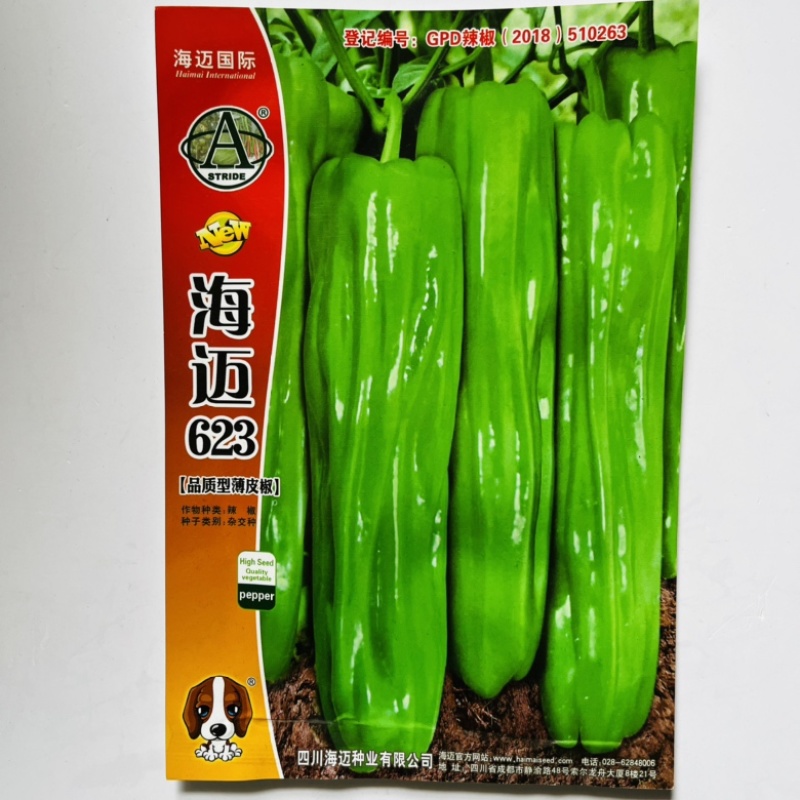 薄皮椒种子海迈薄皮椒品种海迈623海迈625薄皮品种种子