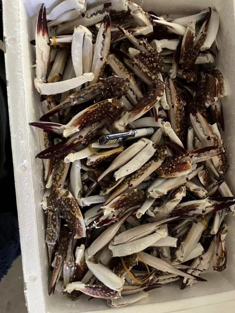 沙蟹，梭子蟹，三点，红毛切蟹切蟹茄子蟹钳全规格全国接单。
