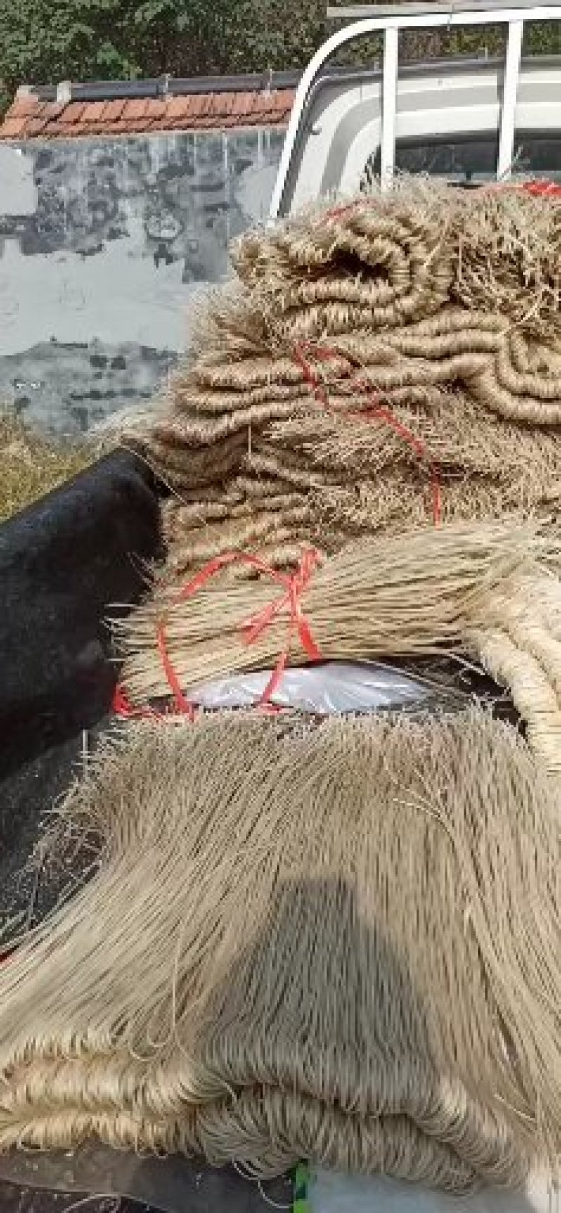 纯地瓜粉条粉皮