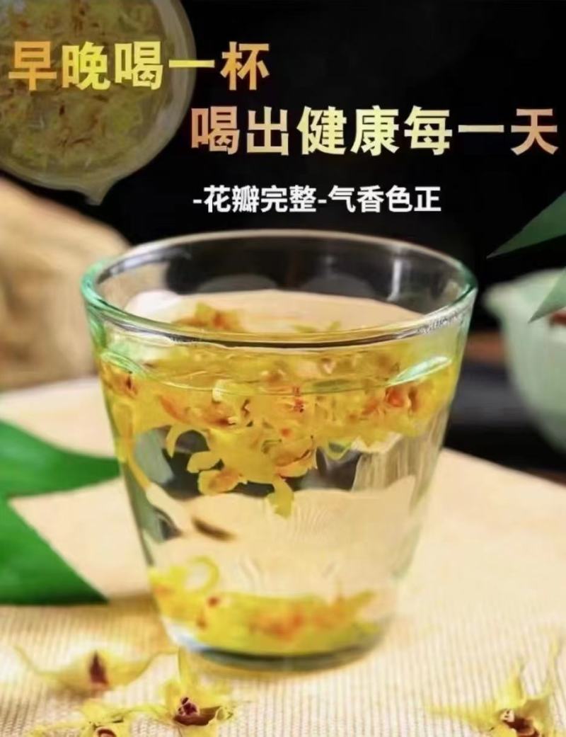 浙江及云南新鲜铁皮石斛干花味香色泽鲜亮长年批发3斤起