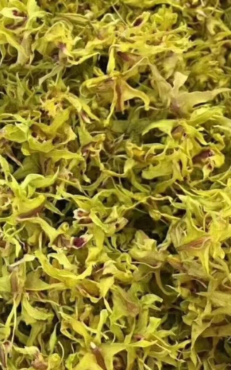 浙江及云南新鲜铁皮石斛干花味香色泽鲜亮长年批发3斤起