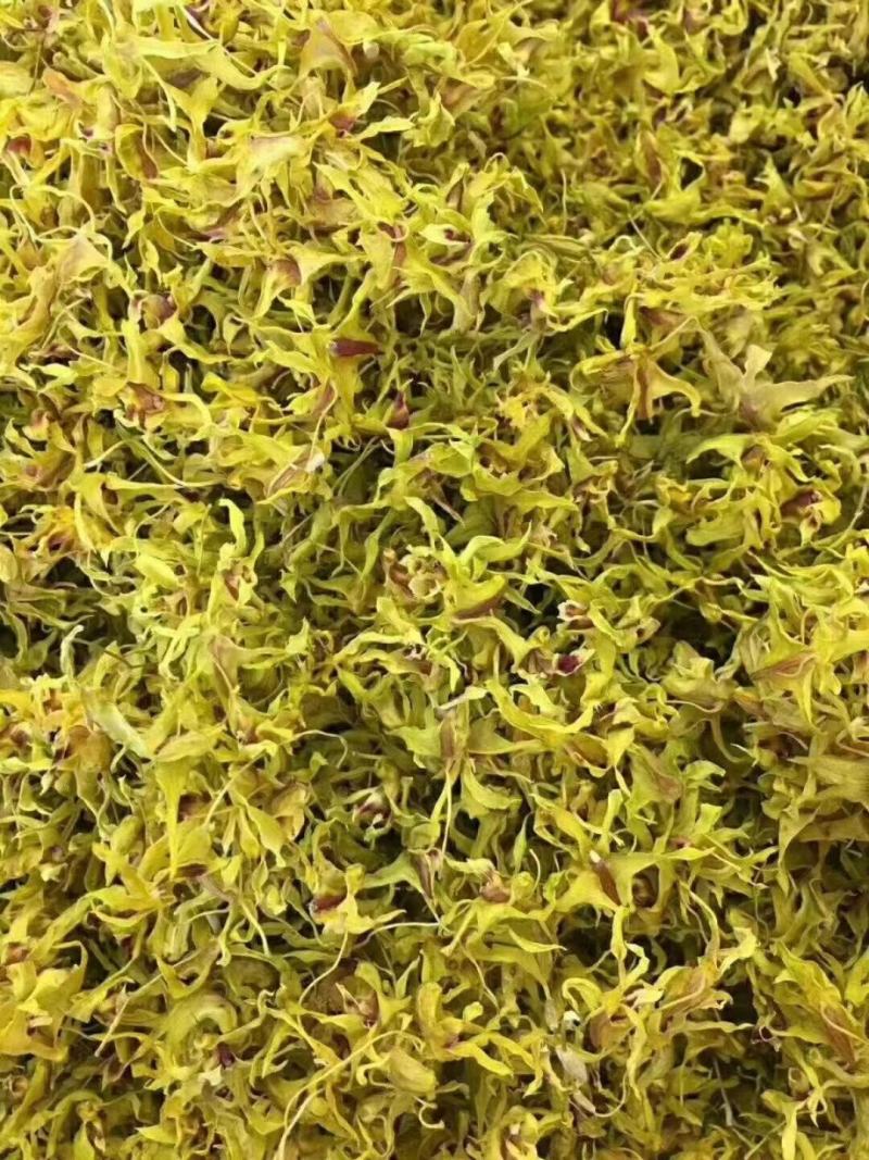 浙江及云南新鲜铁皮石斛干花味香色泽鲜亮长年批发3斤起