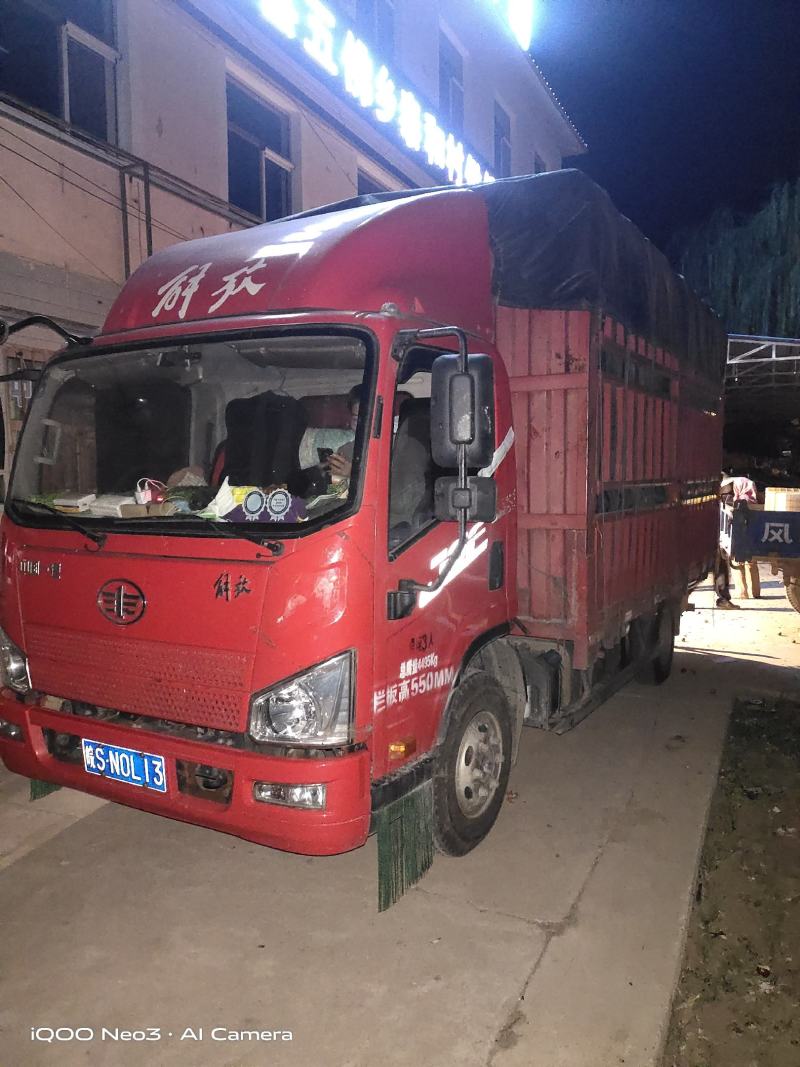 泡茶熬粥大红枣