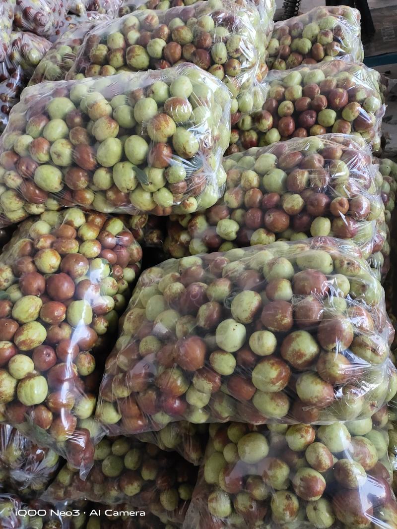 泡茶熬粥大红枣