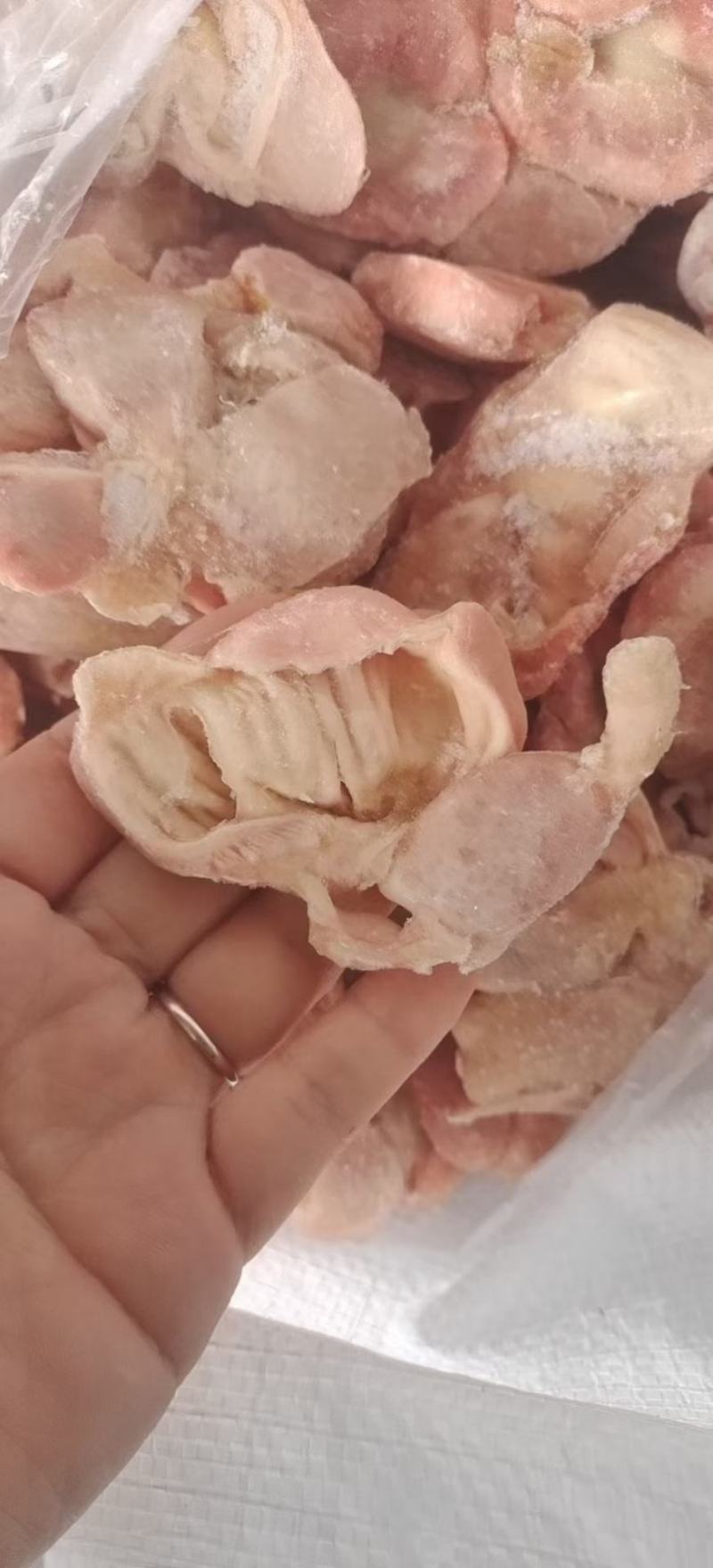带肚鸡胗
