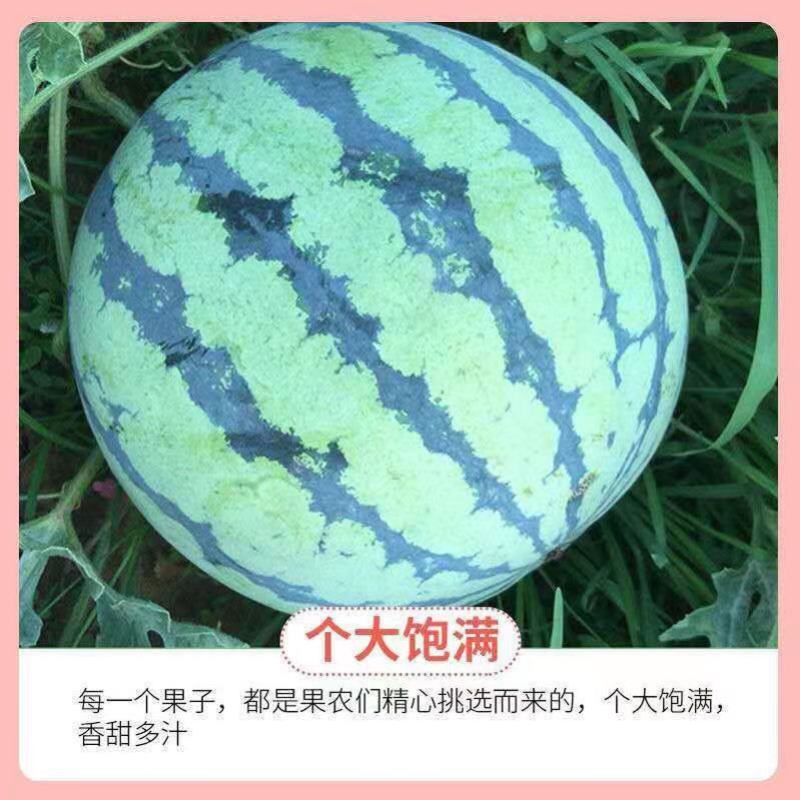 广西藤县太平西瓜，皮薄，甜度高，支持全国发货