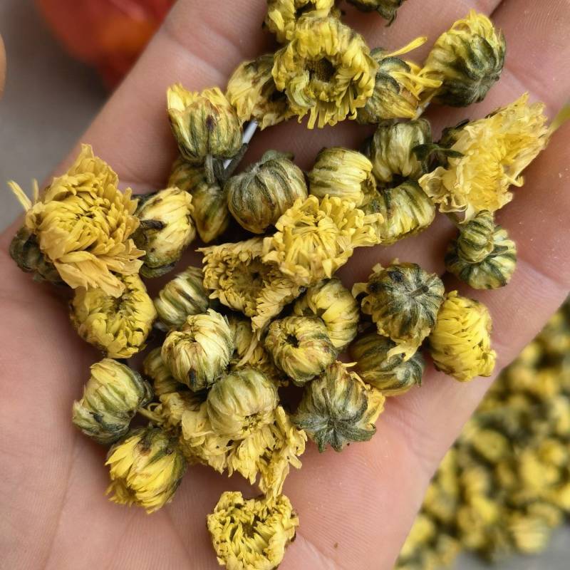 菊花关书药业批发各种规格中药材