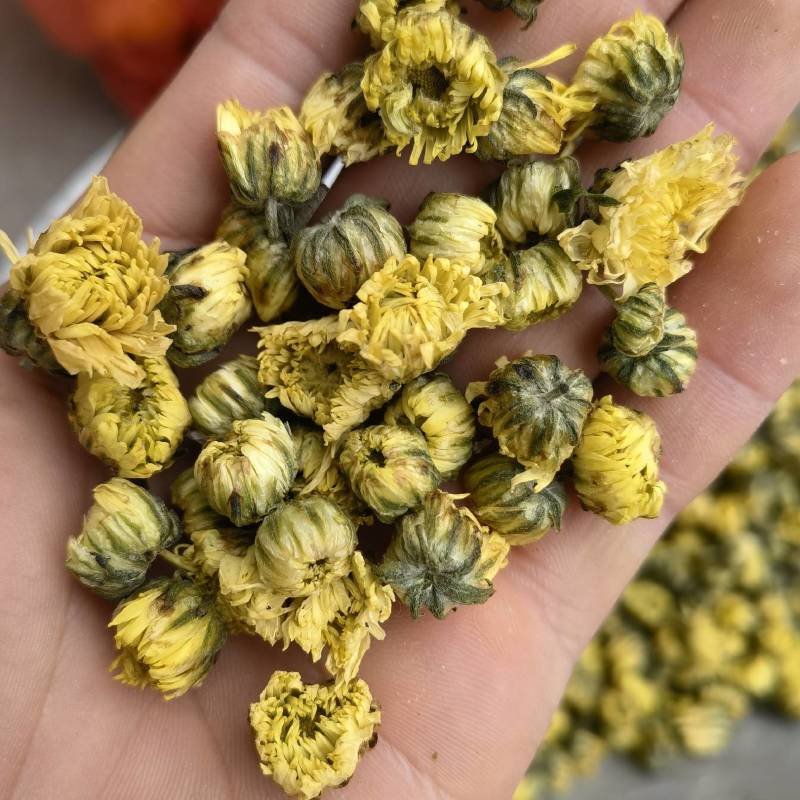 菊花关书药业批发各种规格中药材