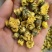 菊花关书药业批发各种规格中药材