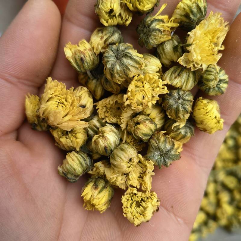菊花关书药业批发各种规格中药材