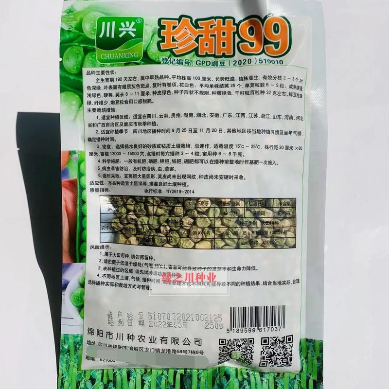 珍甜99水果豌豆种子口感甜脆优质高产吃粒豌豆种籽荚长