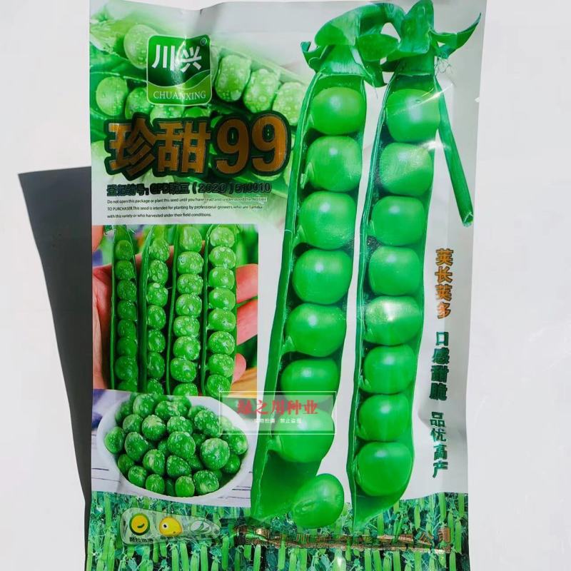 珍甜99水果豌豆种子口感甜脆优质高产吃粒豌豆种籽荚长