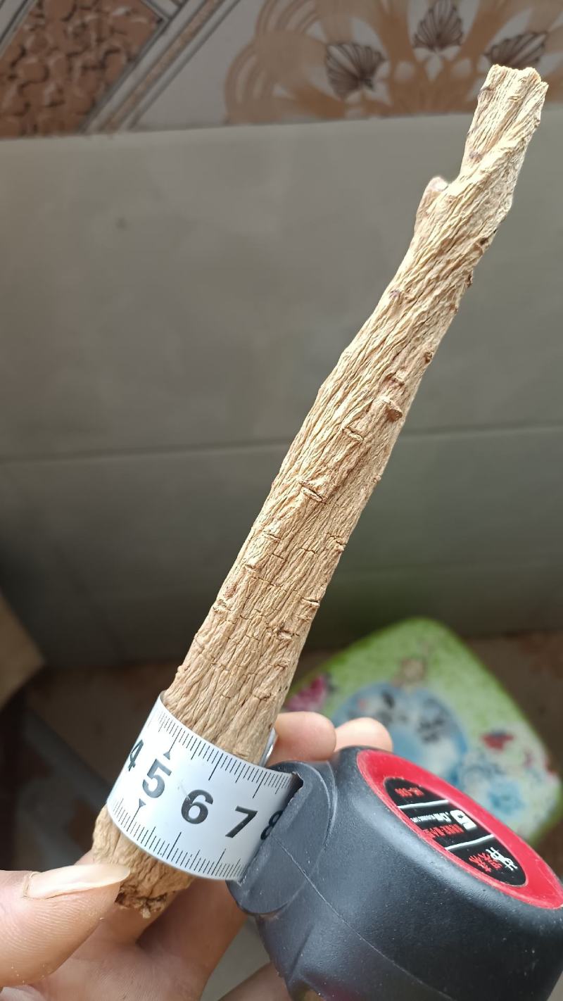农家新鲜黄党参天然药食俩用补品是煮汤佳品