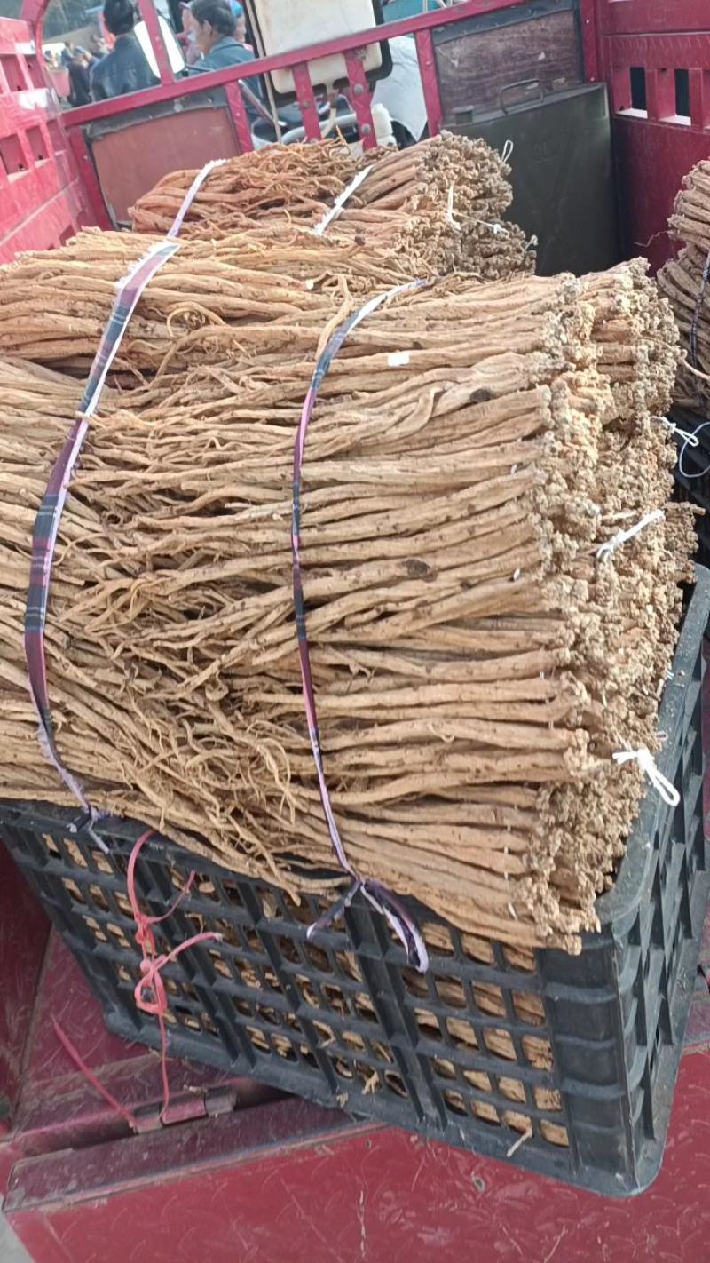农家新鲜黄党参天然药食俩用补品是煮汤佳品