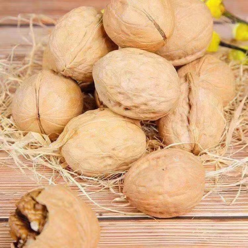 新疆核桃云南麻子核桃坚果零食批发一手货源