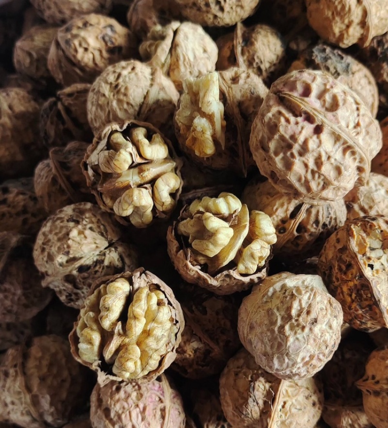 新疆核桃云南麻子核桃坚果零食批发一手货源