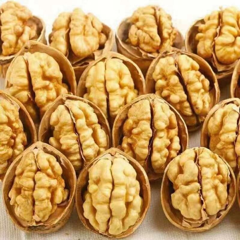 新疆核桃云南麻子核桃坚果零食批发一手货源