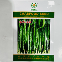 中农杭椒王种子品种杂交一代早熟品种种子