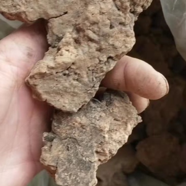 灶心土伏龙肝老家老房子掰得一点，纯柴火灶烧了20多年