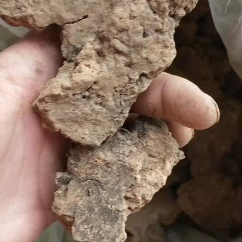 灶心土伏龙肝老家老房子掰得一点，纯柴火灶烧了20多年