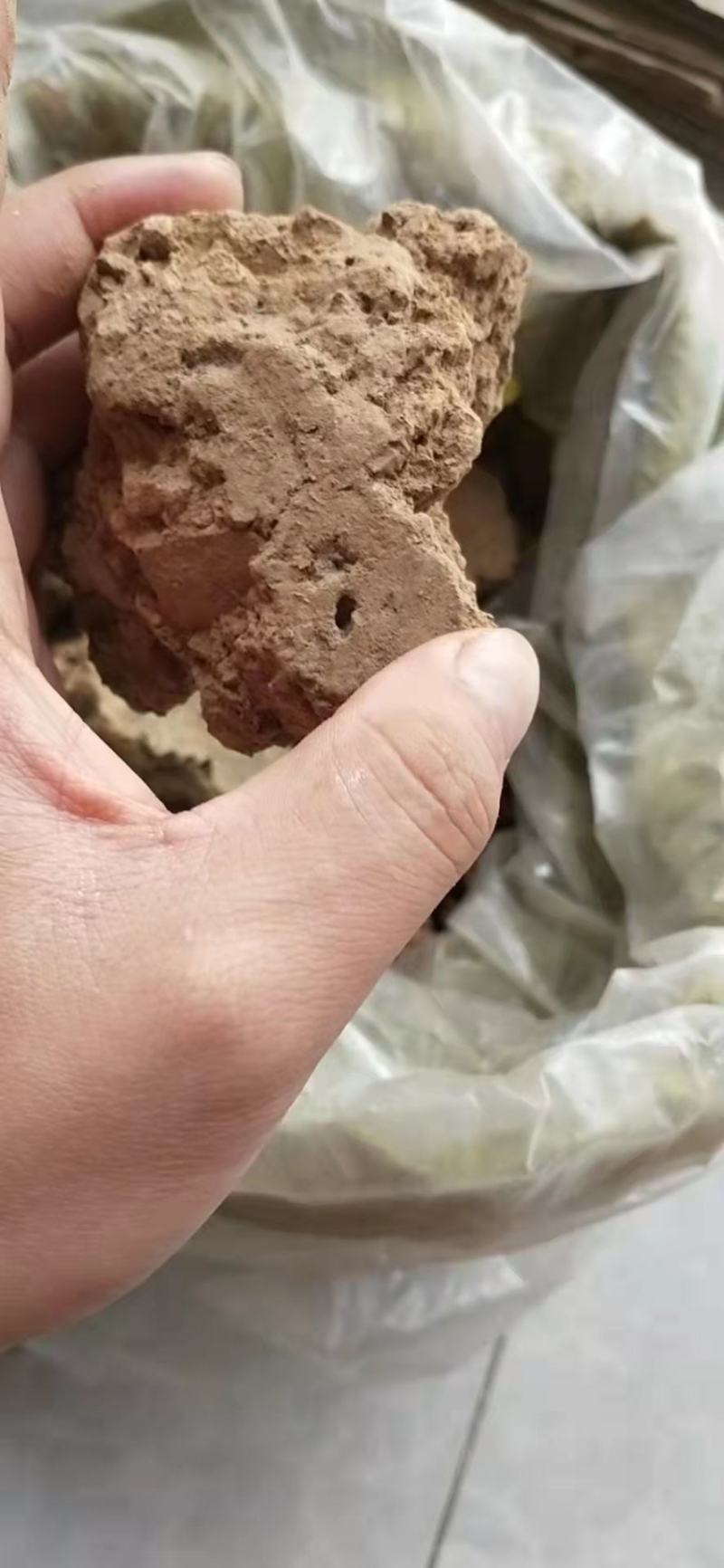灶心土伏龙肝老家老房子掰得一点，纯柴火灶烧了20多年