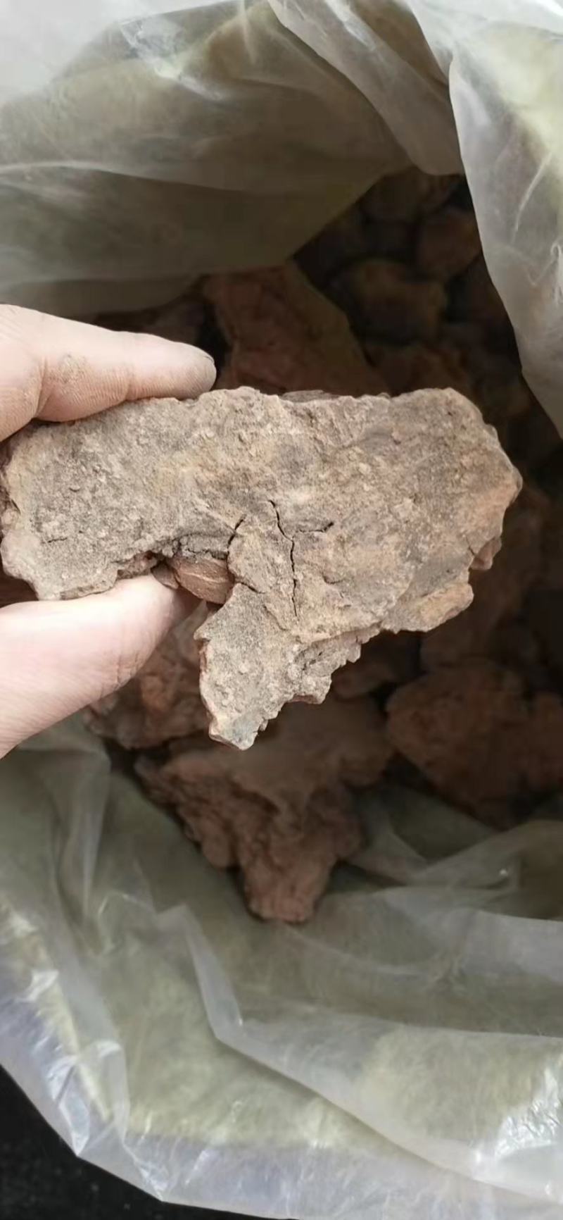 灶心土伏龙肝老家老房子掰得一点，纯柴火灶烧了20多年