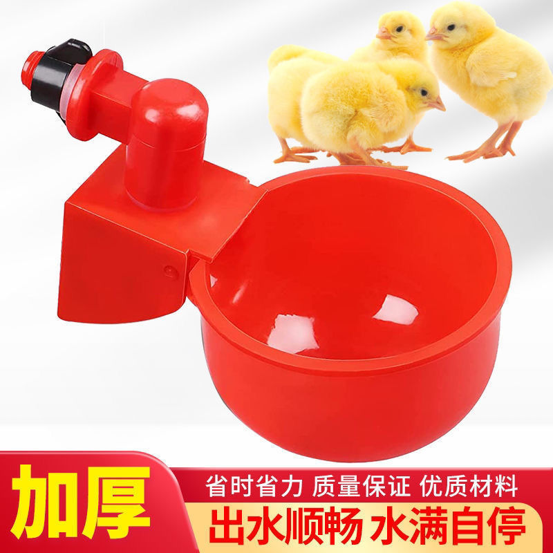 鸡鸭鹅用饮水碗鸽子自动饮水器鹌鹑饮水碗小鸡雏鸡喝水碗鸡饮
