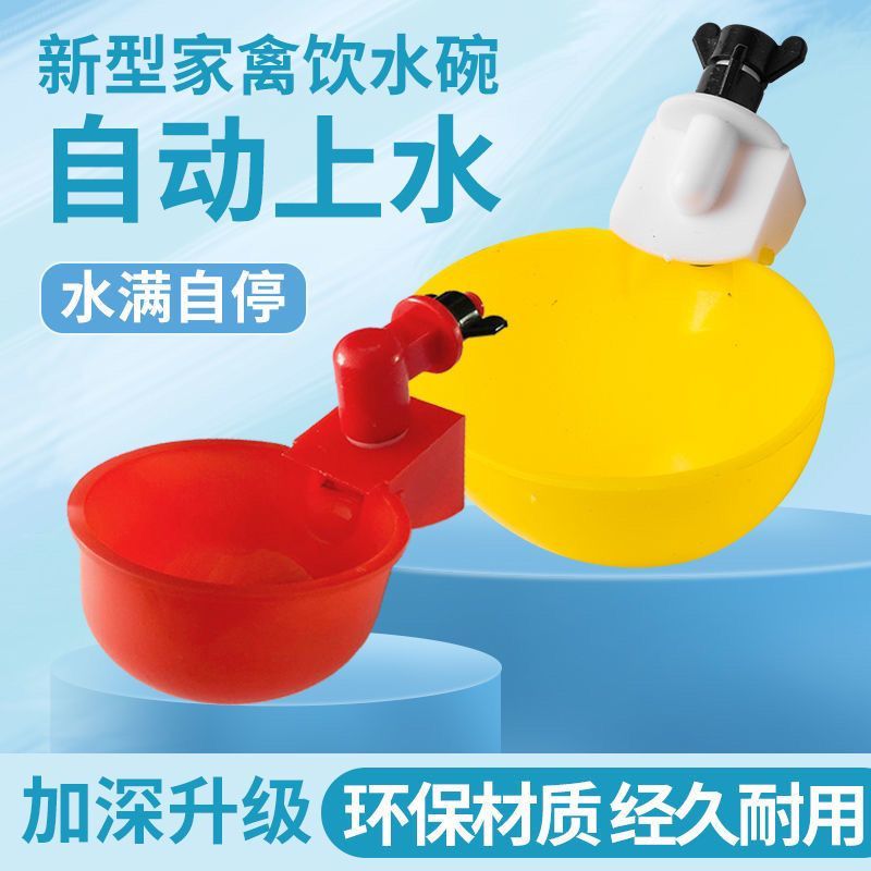 鸡鸭鹅用饮水碗鸽子自动饮水器鹌鹑饮水碗小鸡雏鸡喝水碗鸡饮
