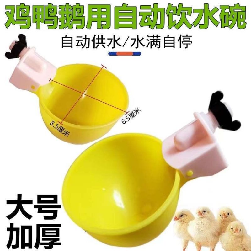 鸡鸭鹅用饮水碗鸽子自动饮水器鹌鹑饮水碗小鸡雏鸡喝水碗鸡饮